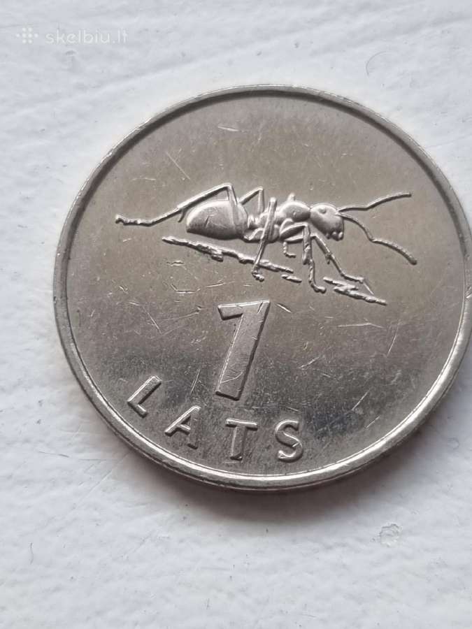 1latas 2003 Skruzdėlė - nuotraukos Nr. 2