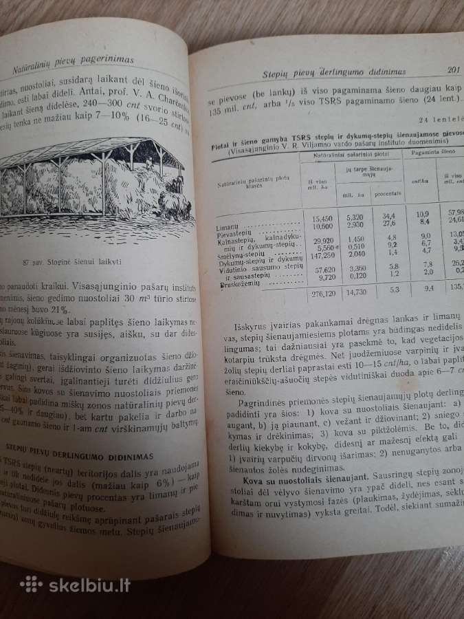 Pievininkystė 1952m. - nuotraukos Nr. 6