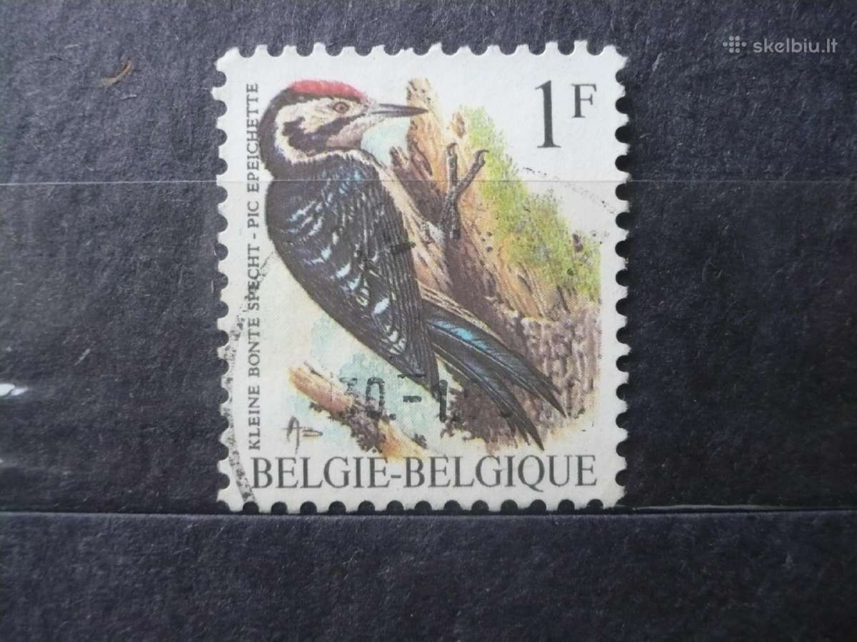 1990 Paukščiai