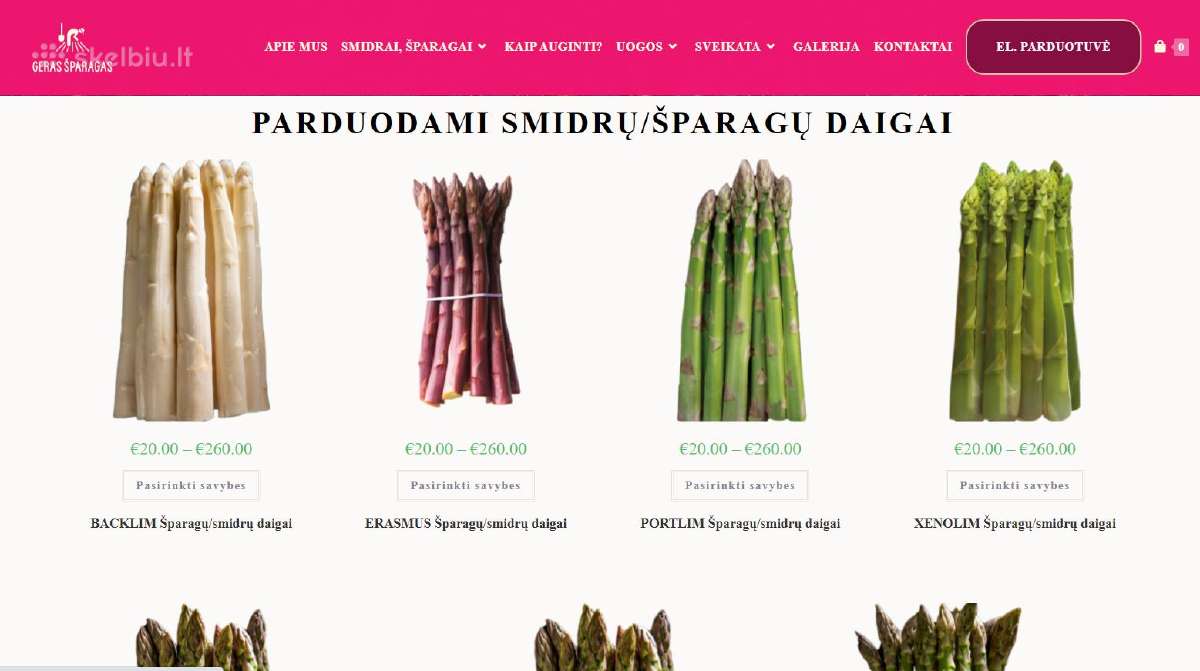 Smidrų (šparagų) daigai – patikrinti, sertifikuoti - nuotraukos Nr. 17