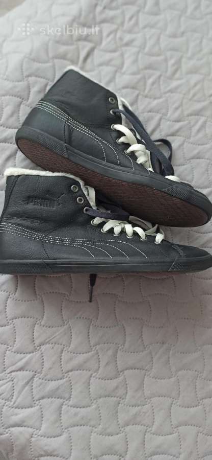 Puma