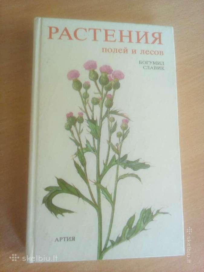 Laukų ir miškų augalai (rusų kalba)