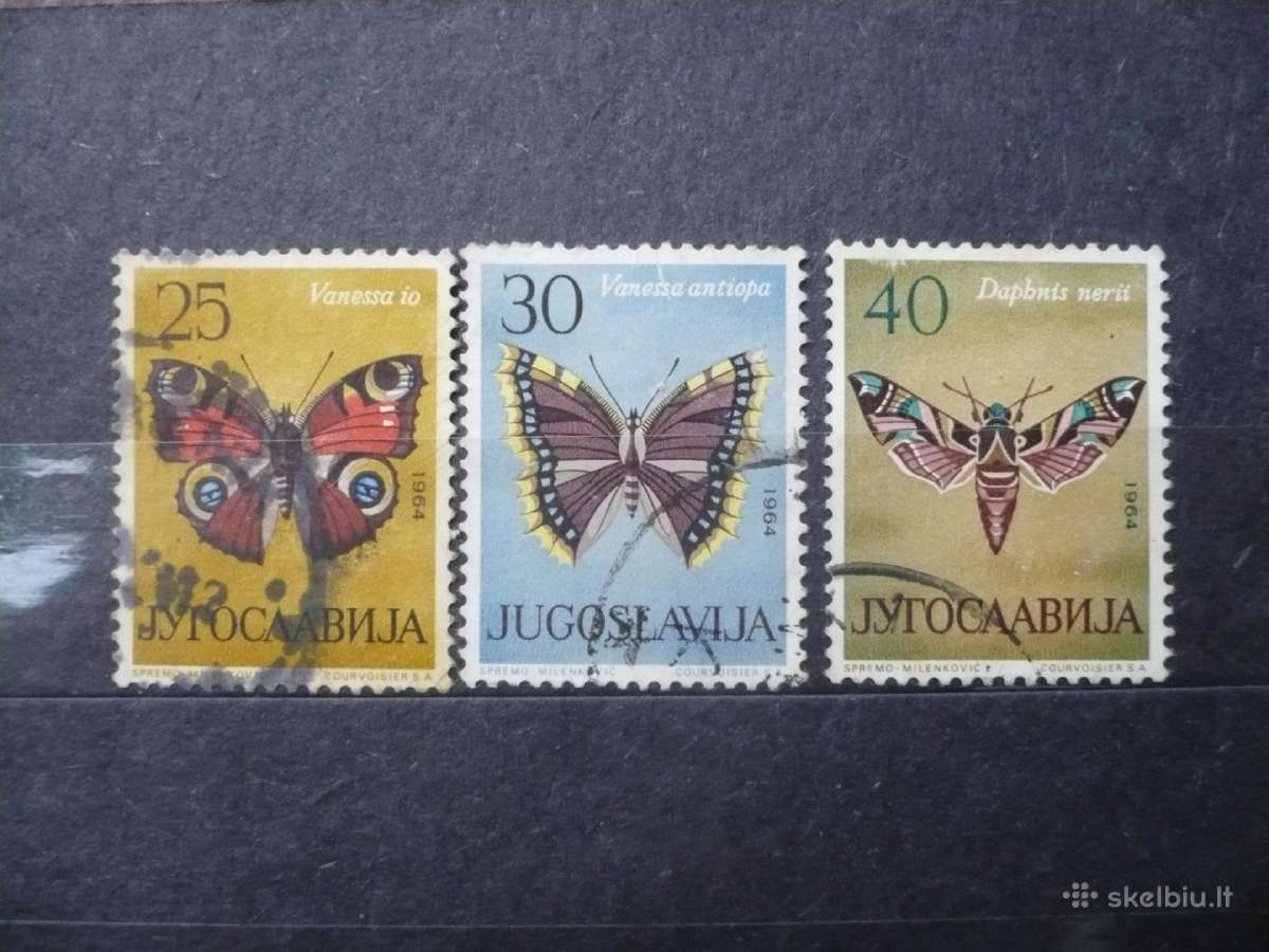 1964 metų drugeliai
