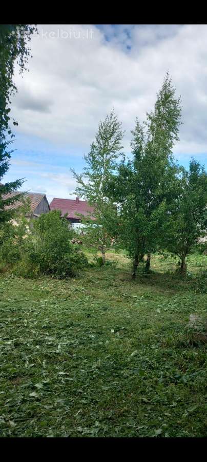 Malkų pjovimas, skaldymas, žolės pjovimas - nuotraukos Nr. 11