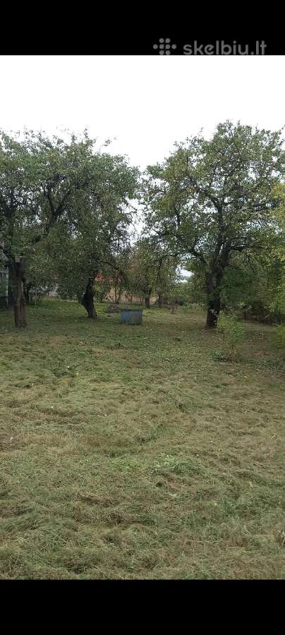 Malkų pjovimas, skaldymas, žolės pjovimas - nuotraukos Nr. 18