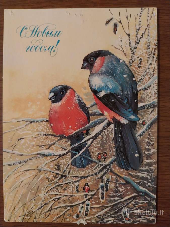 Su Naujais metais. Atvirukai, prirašyti - nuotraukos Nr. 7