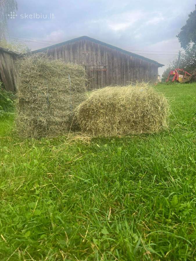 Šienas kitkomis - nuotraukos Nr. 2