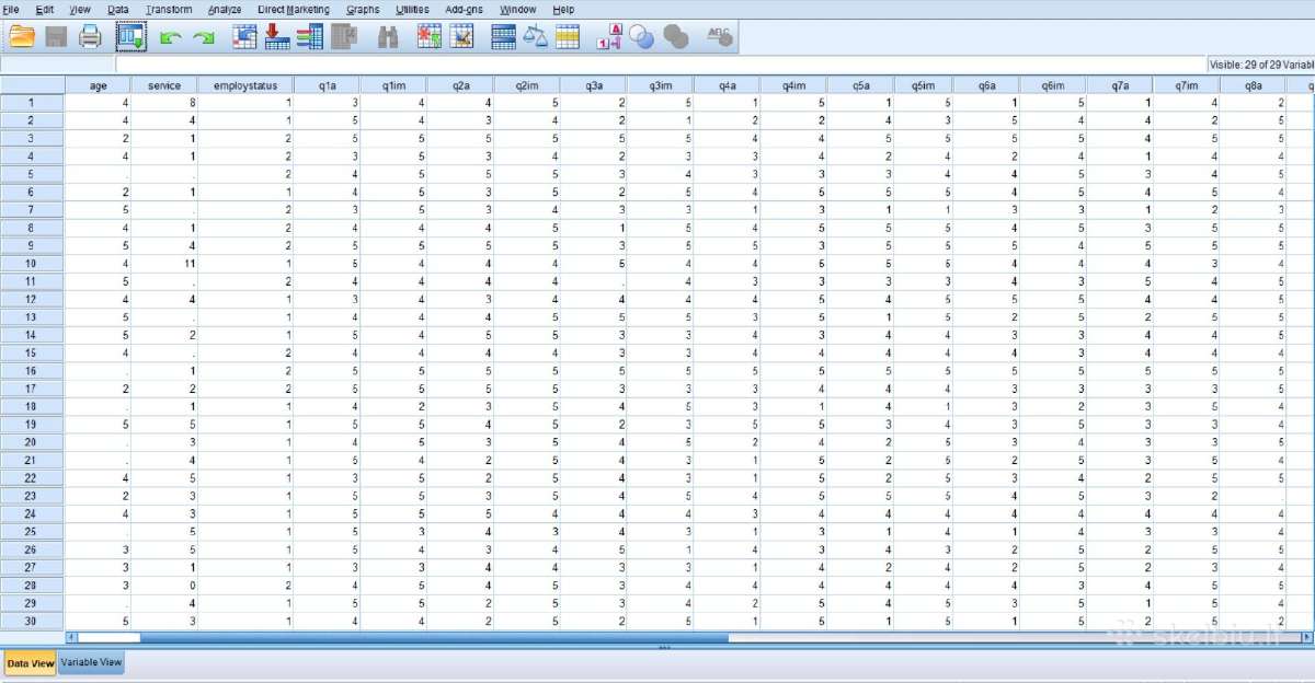 Spss konsultacijos statistinės analizės - nuotraukos Nr. 2