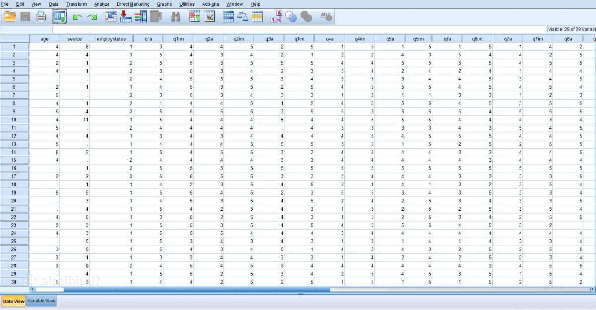 Spss konsultacijos ir duomenų analizės mokymai - nuotraukos Nr. 2