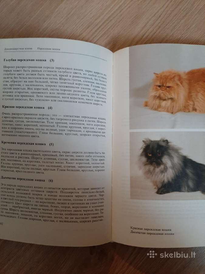 Атлас пород кошек. Kačių veislės Ru - nuotraukos Nr. 2