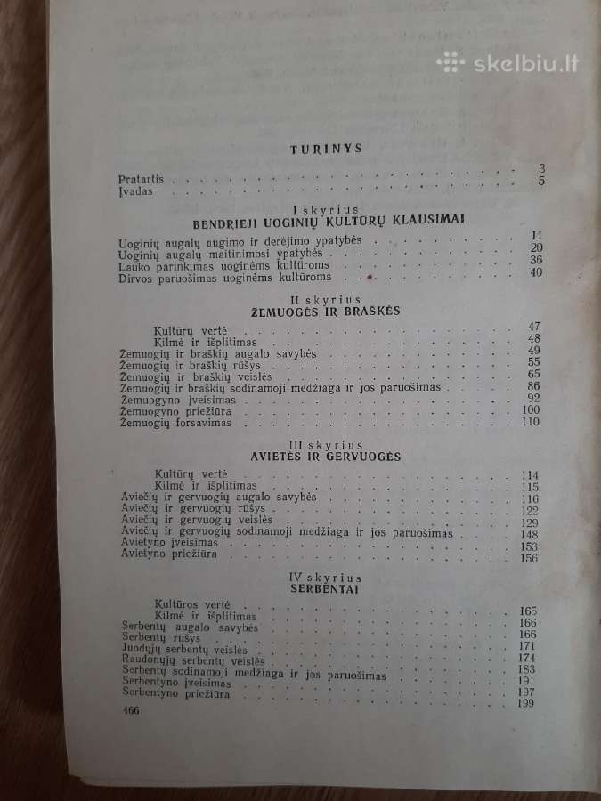 Uoginės kultūros. 1954m. - nuotraukos Nr. 2