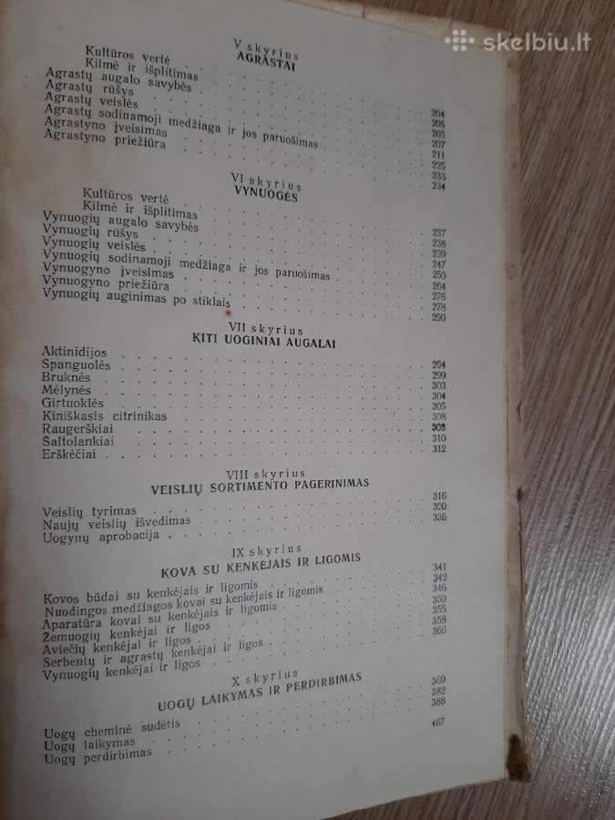 Uoginės kultūros. 1954m. - nuotraukos Nr. 3
