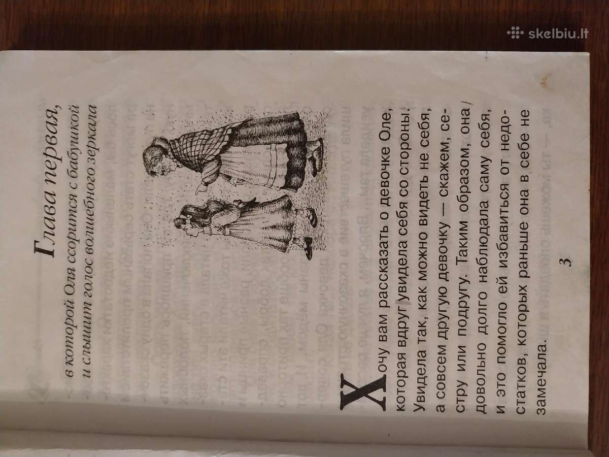 V. Gubarevas. Kreivų veidrodžių karalystė - nuotraukos Nr. 3
