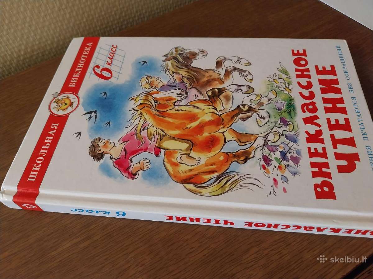 Užklasinis skaitymas.6 klasė - nuotraukos Nr. 3
