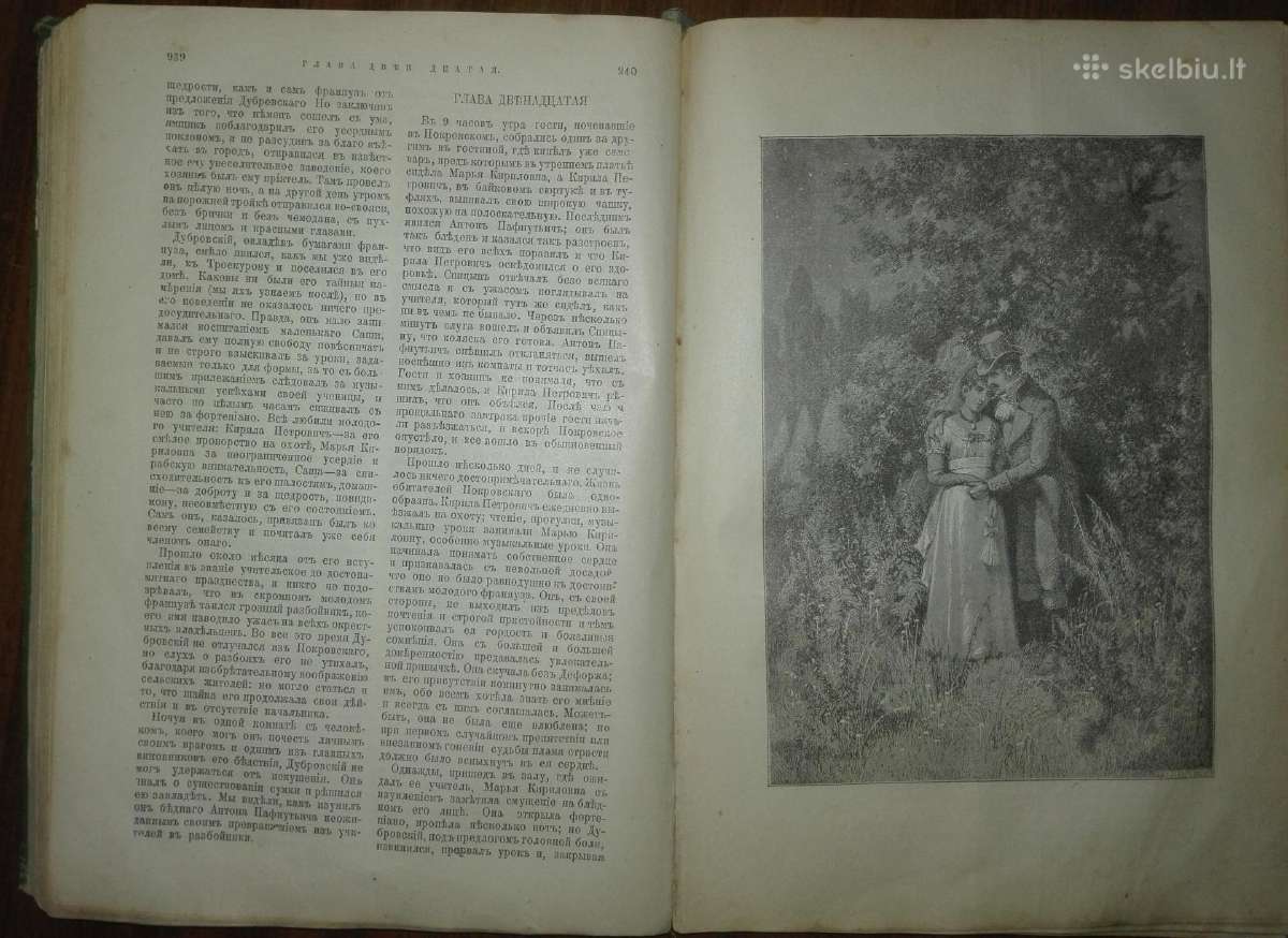 Antikvarinė-kolekcсочиненiя А. С. Пушкина. 1913 m. - nuotraukos Nr. 7