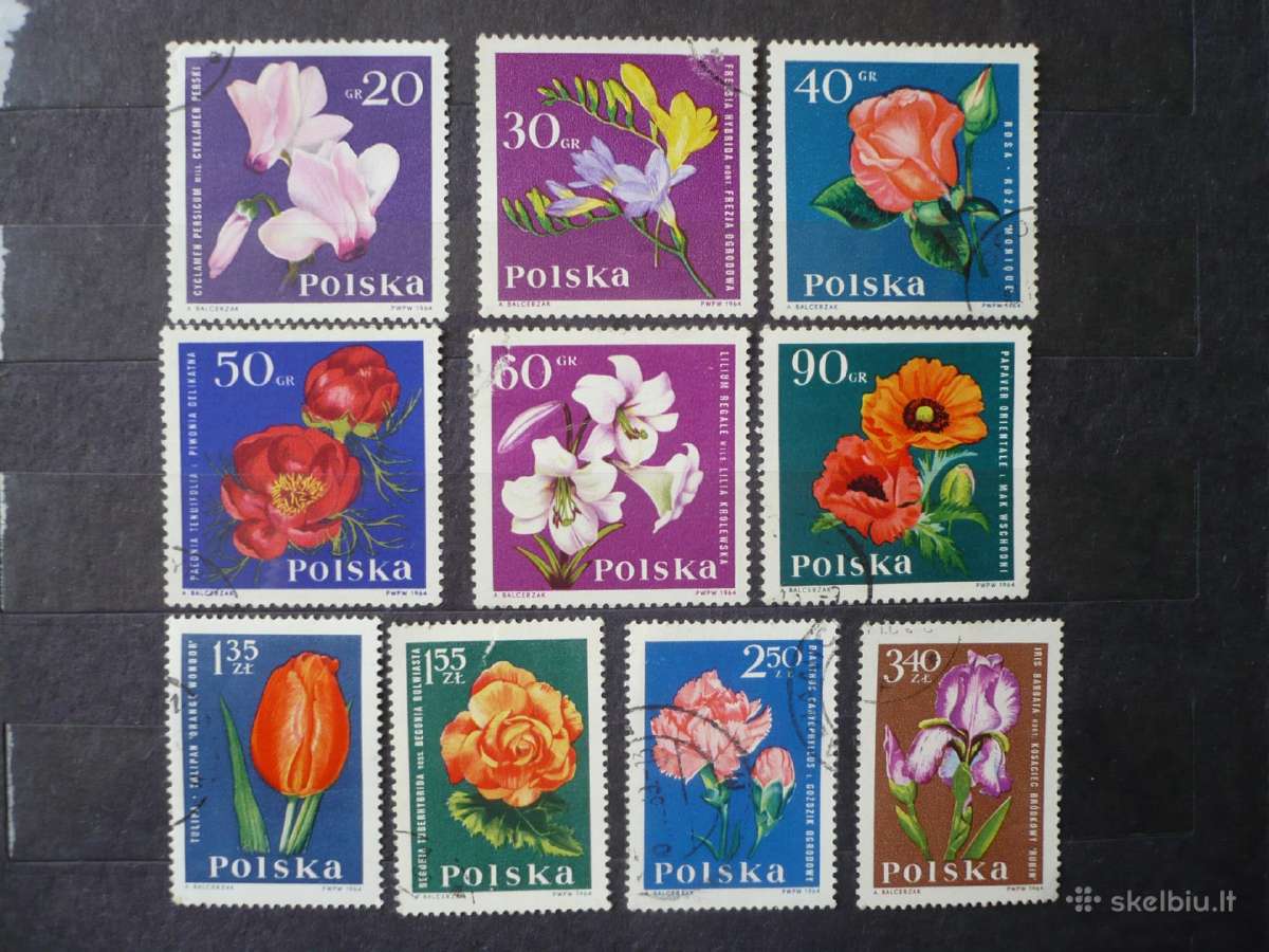 1964 m. sodo gėlės