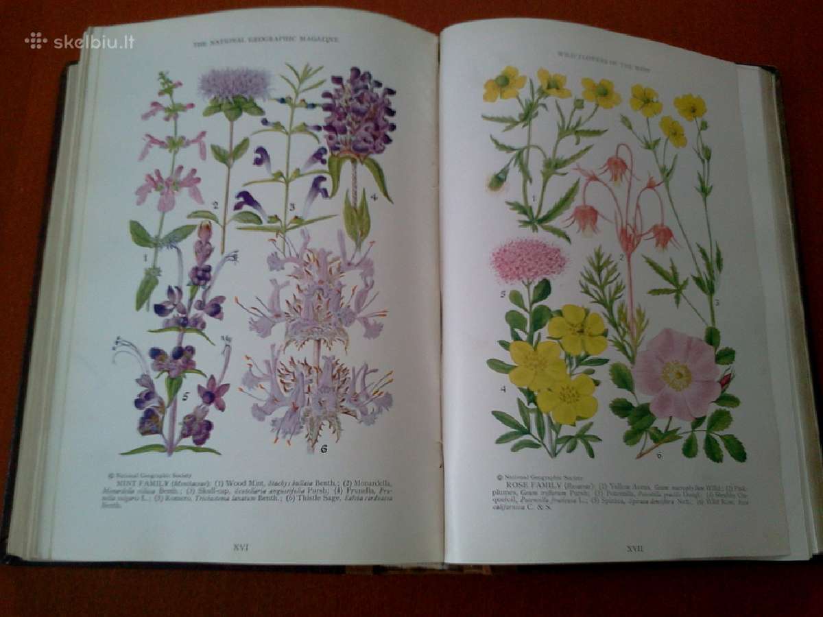 Knygos nacionaline geografija - nuotraukos Nr. 4