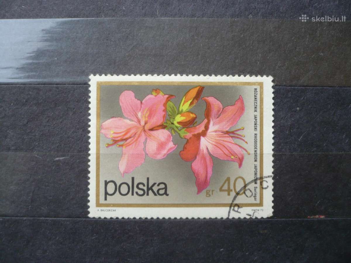1972 Žydintys krūmai