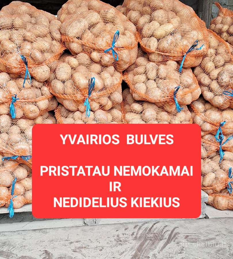 Bulves Marijampole Vilkaviskis pristatau nemokamai - nuotraukos Nr. 19