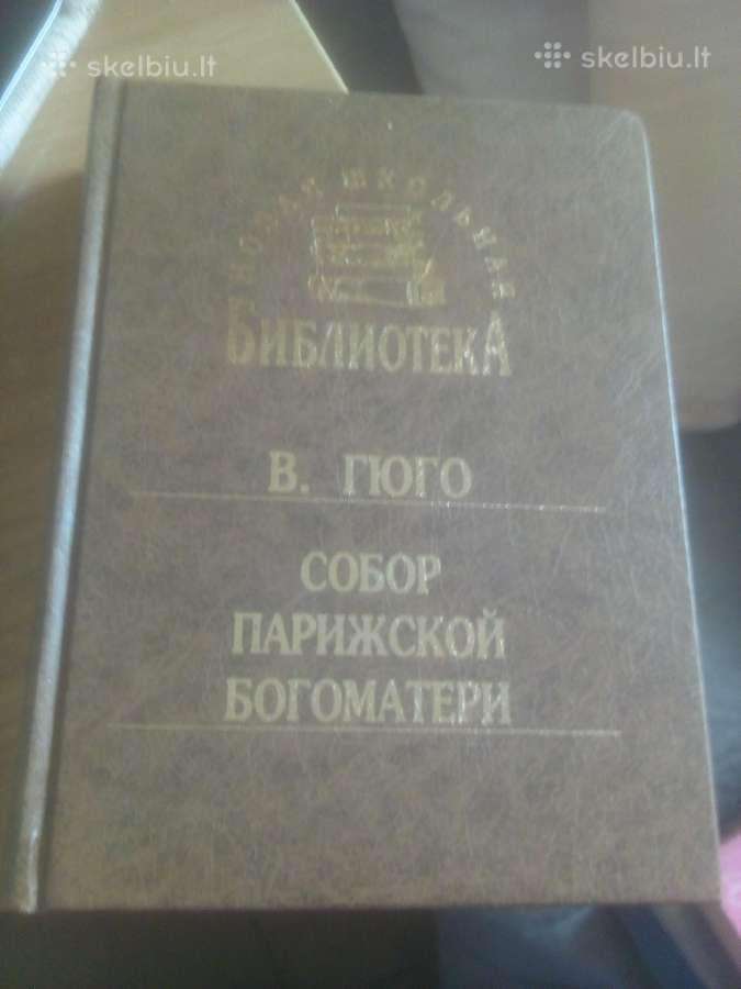 Hugo. Dievo Motinos katedra