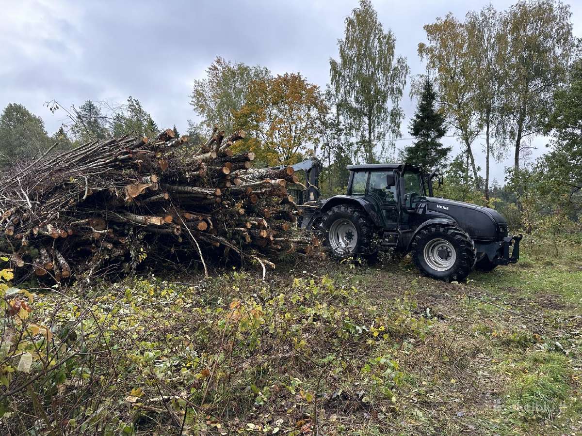 Apleistų sklypų tvarkymas,brangiai perkame biokurą - nuotraukos Nr. 2