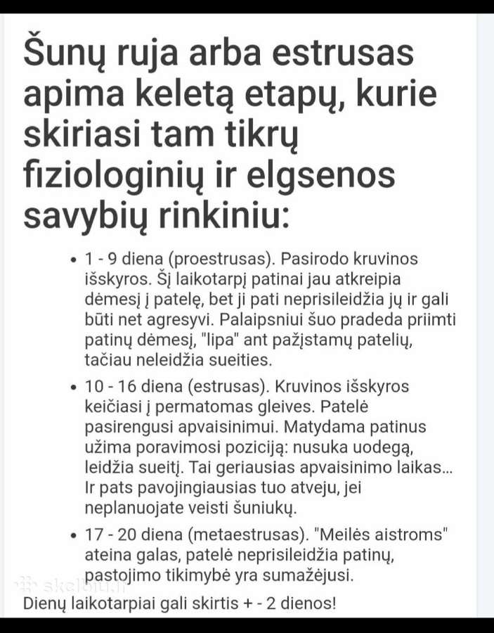 Toiterjeras ieško draugės - nuotraukos Nr. 5