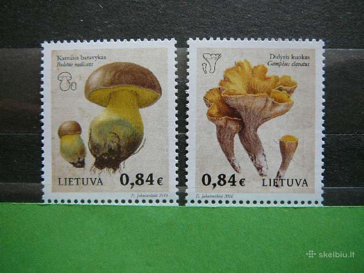 Lietuva 2016 Grybai Mnh lit1211