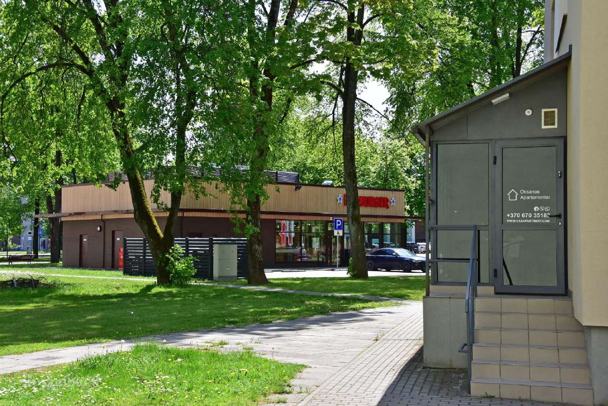 Oksanos apartamentai centre+privatus įėjimas+ac - nuotraukos Nr. 18