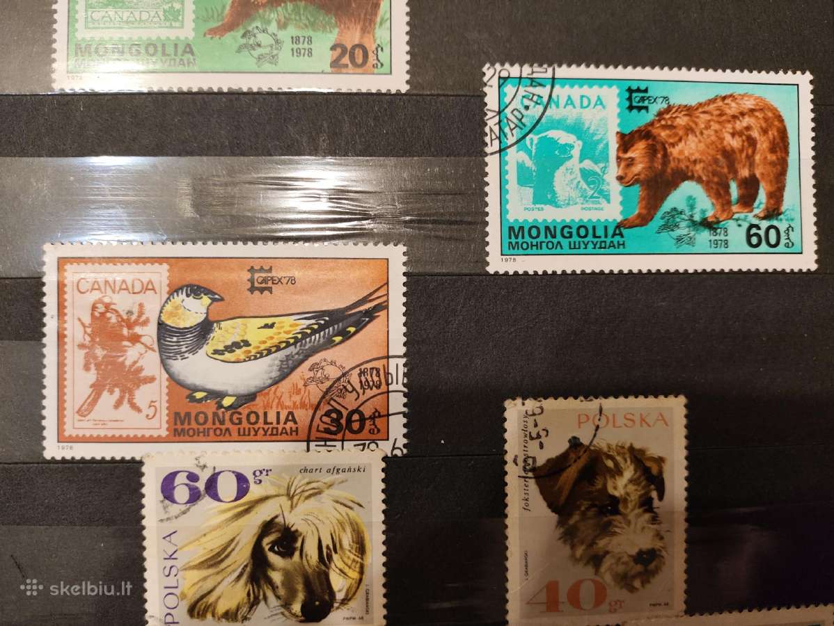 Markes - nuotraukos Nr. 20