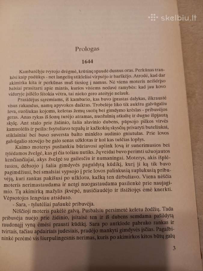 Istorinis meilės romanas - nuotraukos Nr. 5