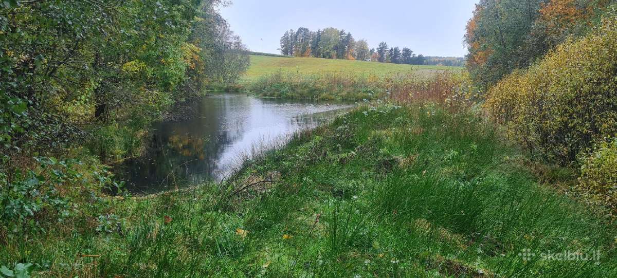 Namų valda 0,5340 ha Vilties g. Ignalina - nuotraukos Nr. 3