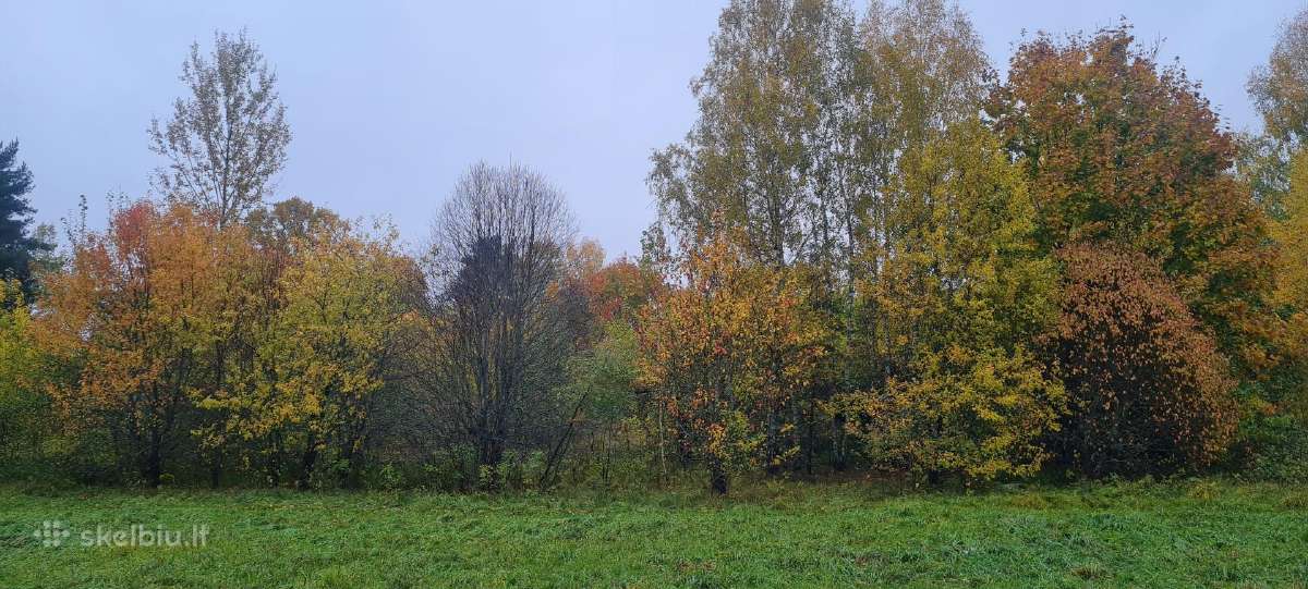 Namų valda 0,5340 ha Vilties g. Ignalina - nuotraukos Nr. 8