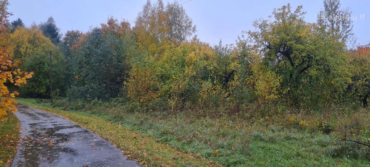 Namų valda 0,5340 ha Vilties g. Ignalina - nuotraukos Nr. 9