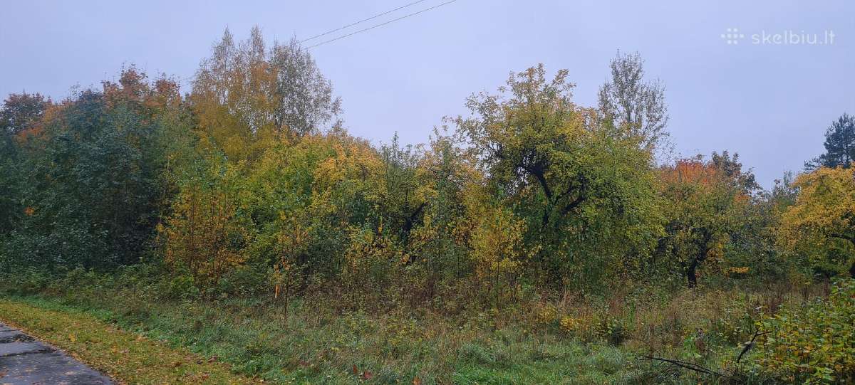 Namų valda 0,5340 ha Vilties g. Ignalina - nuotraukos Nr. 10