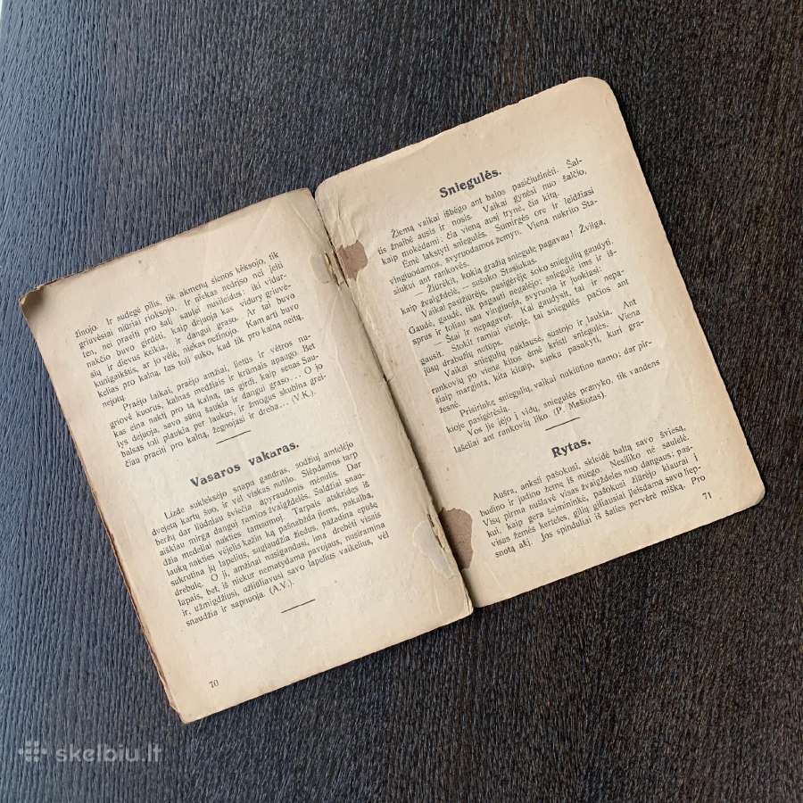 1923 metų knyga “Pavyzdžiai rašybos. Diktantas" - nuotraukos Nr. 5