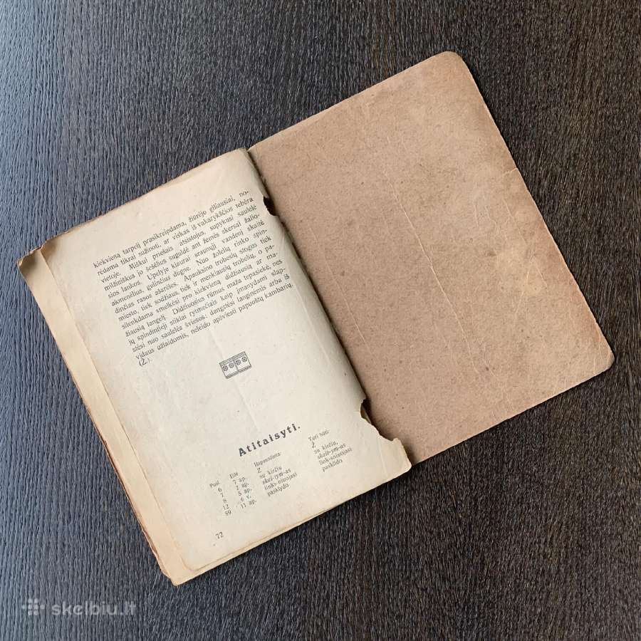 1923 metų knyga “Pavyzdžiai rašybos. Diktantas" - nuotraukos Nr. 6