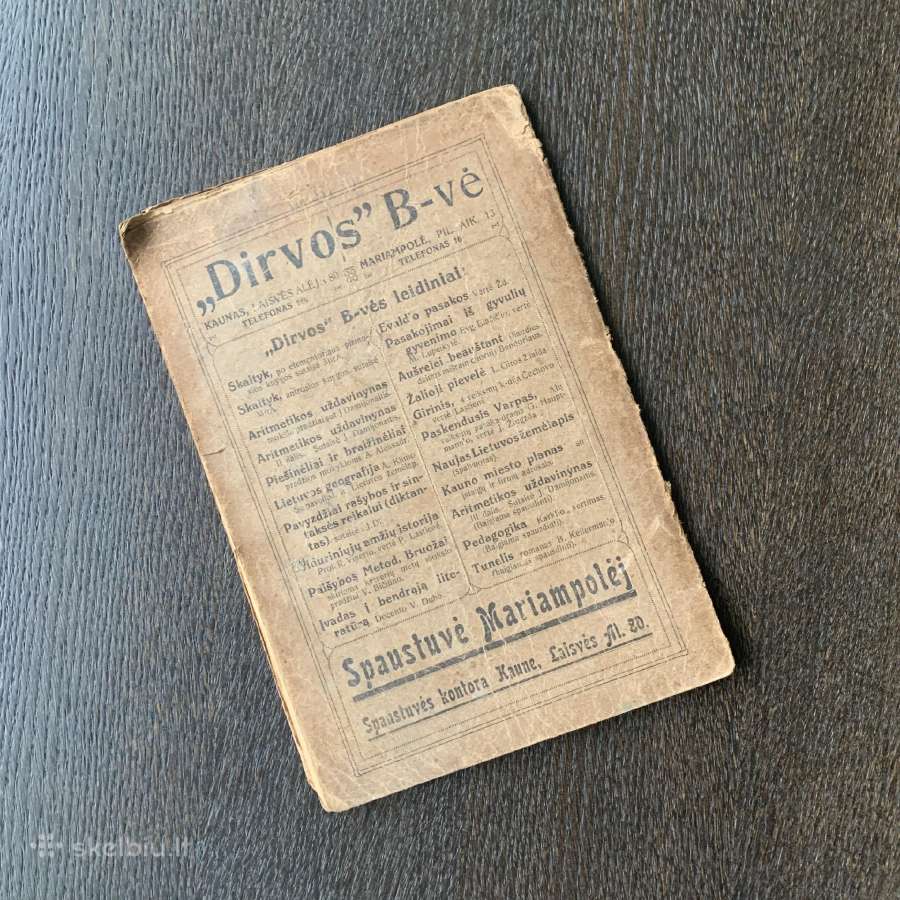 1923 metų knyga “Pavyzdžiai rašybos. Diktantas" - nuotraukos Nr. 7