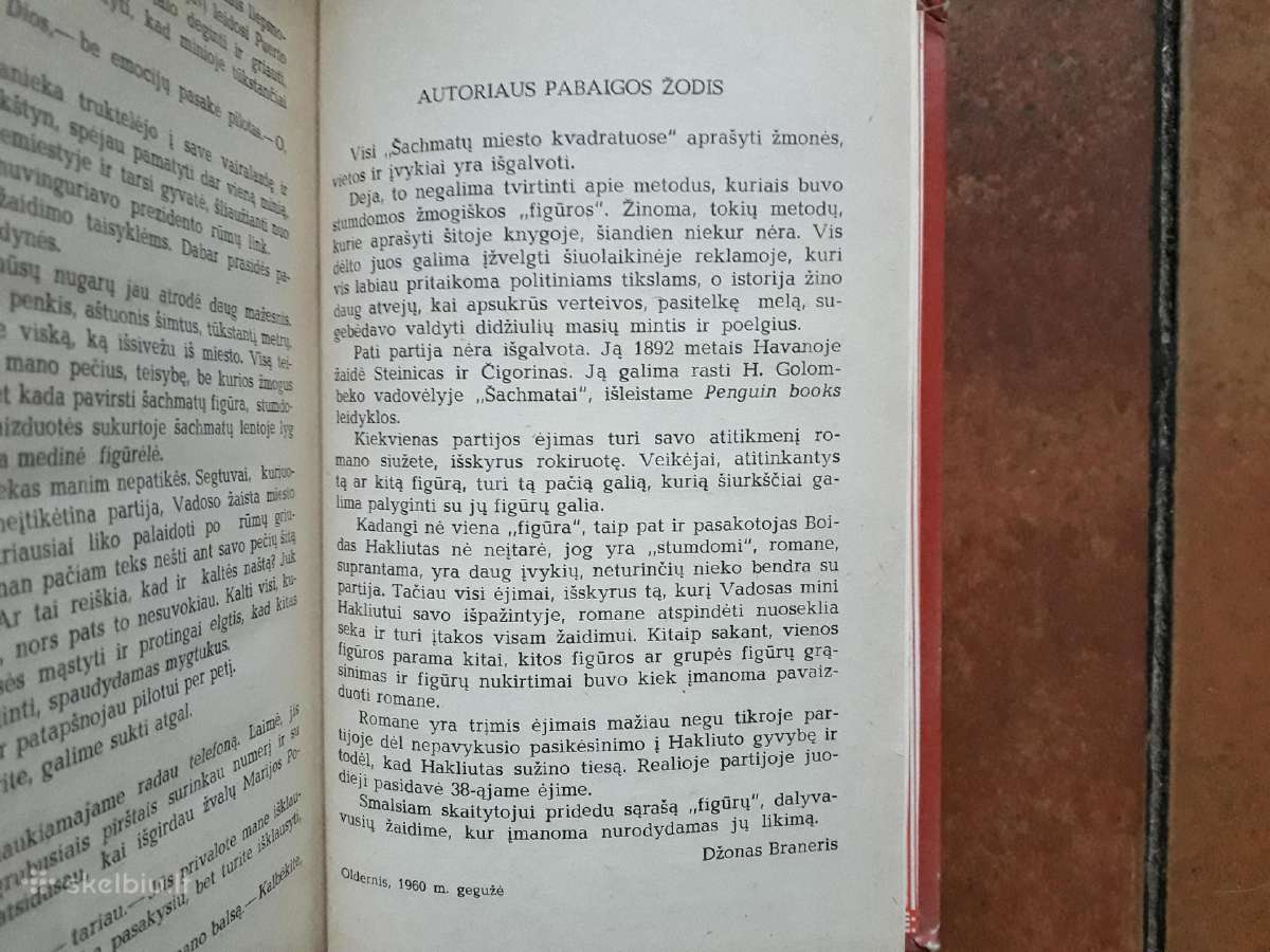 Džonas Braneris "Šachmatų miesto kvadratai" 1988m. - nuotraukos Nr. 5