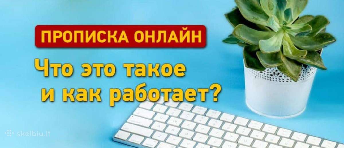 Gyvenamos vietos deklaravimas / прописка - nuotraukos Nr. 3
