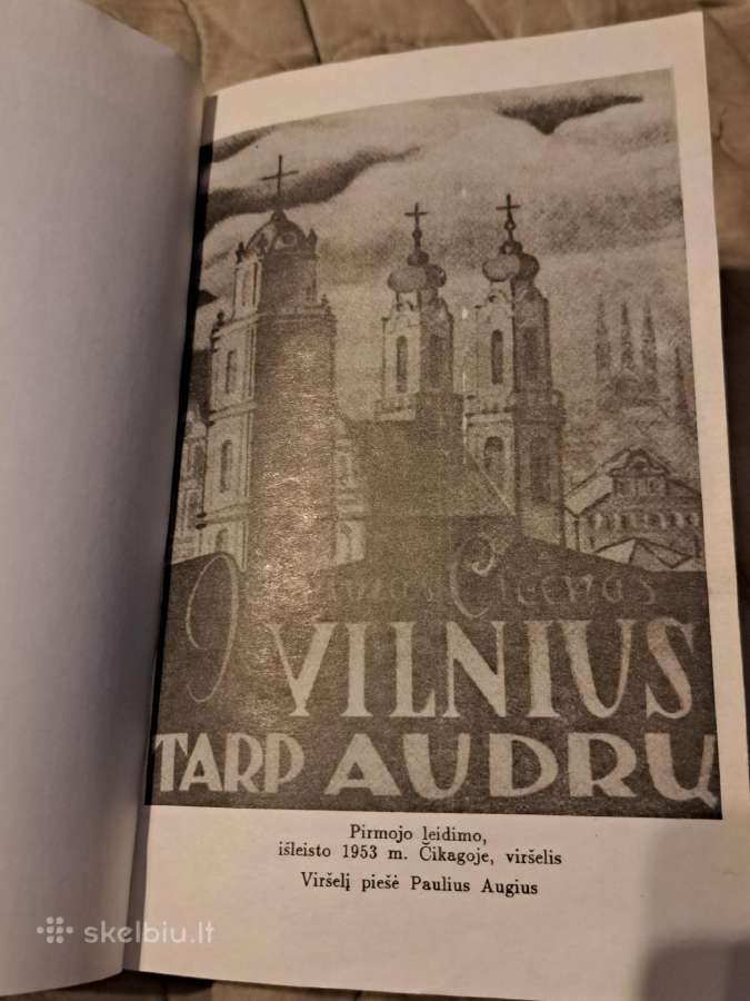 Vilnius tarp audrų - nuotraukos Nr. 2