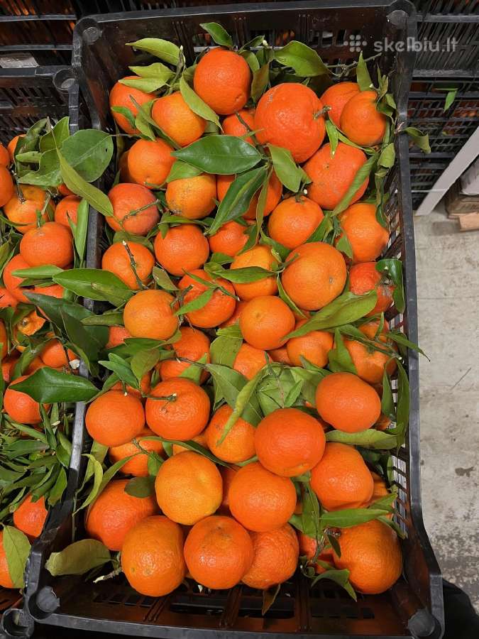 Ispaniški vaisiai iš Ispanijos ūkių urmu - nuotraukos Nr. 8