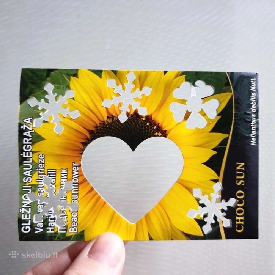 Dekoratyvinis skylamušis didelė širdis - nuotraukos Nr. 16
