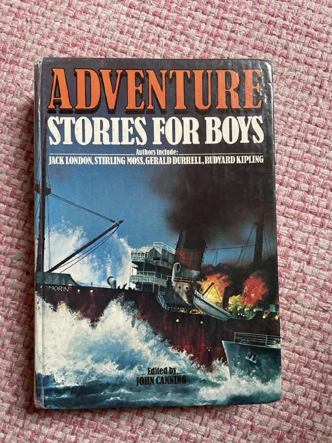 Knyga Adventure stories for boys