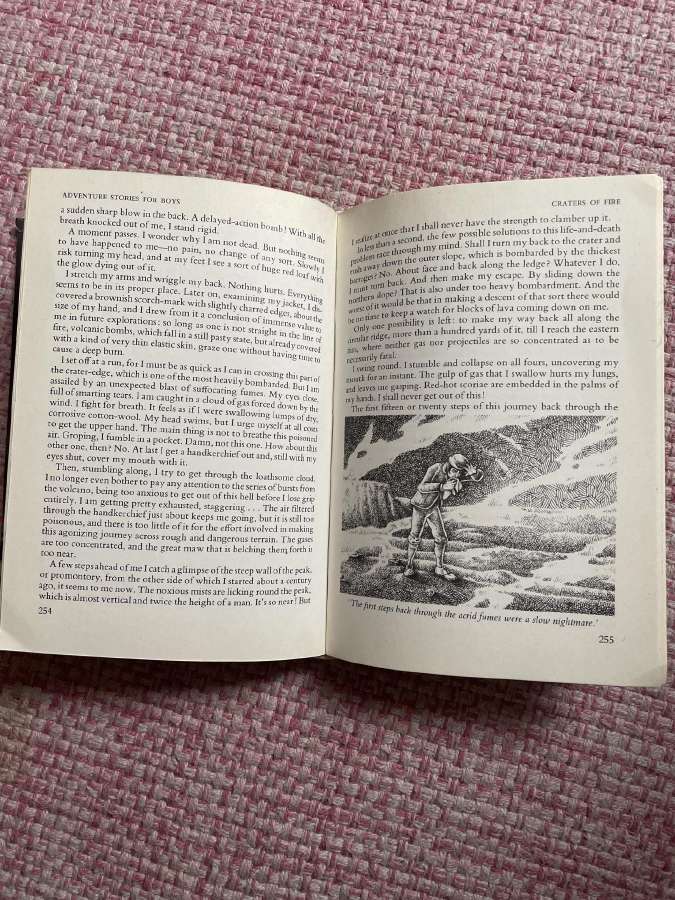 Knyga Adventure stories for boys - nuotraukos Nr. 2