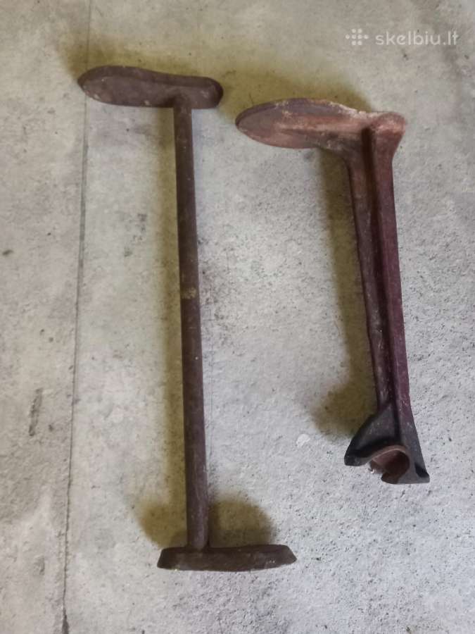Batsiuvio koja 1975m.