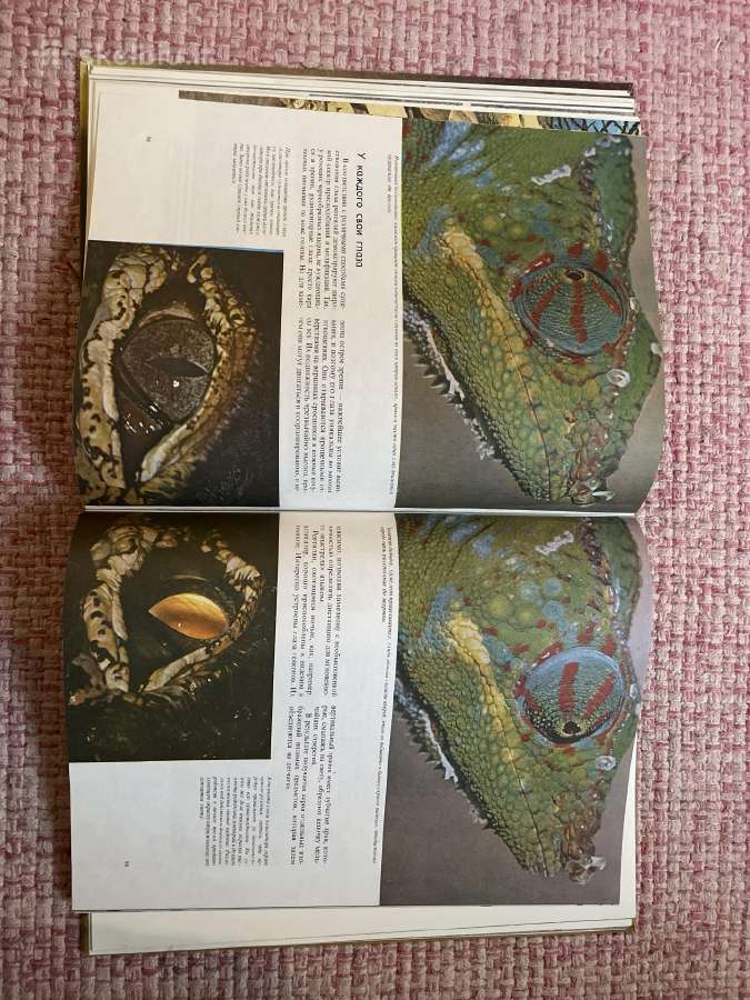 1975 m knygos The Reptiles rusiškas leidimas - nuotraukos Nr. 3