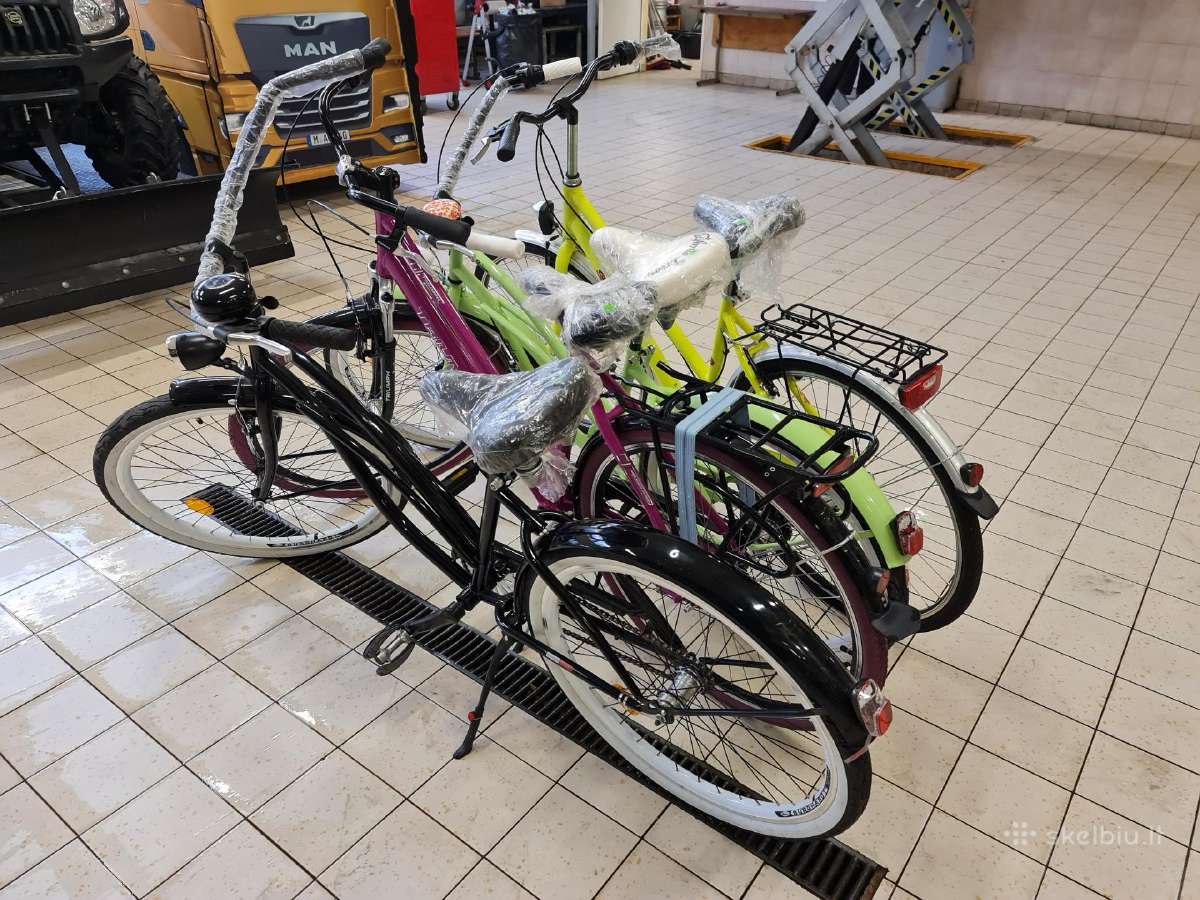 Burghardt Cruiser