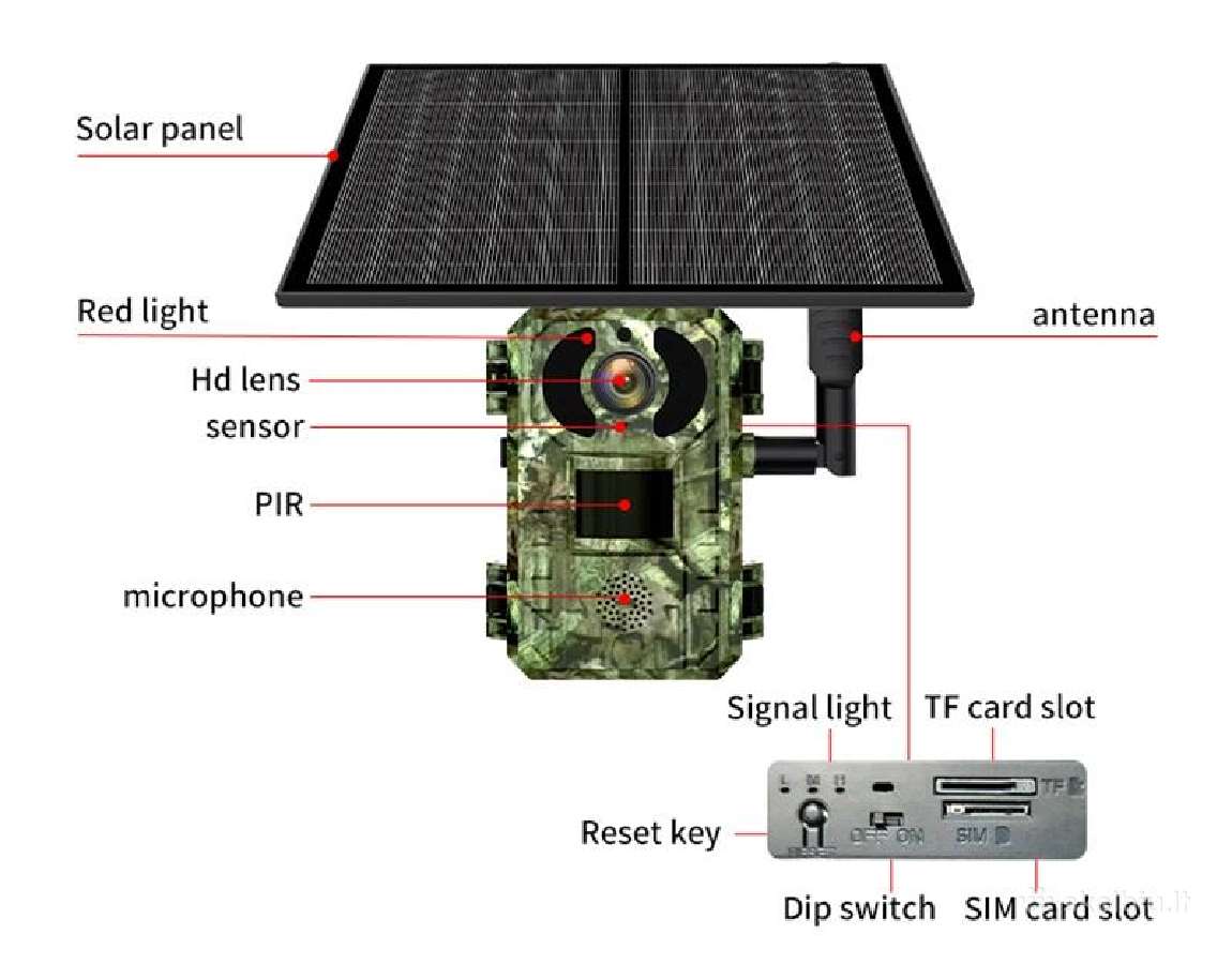 Medžioklinė lauko kamera Wildlife 4G su saulės bat - nuotraukos Nr. 4