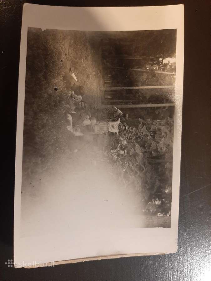 Fotogrfijos - nuotraukos Nr. 3