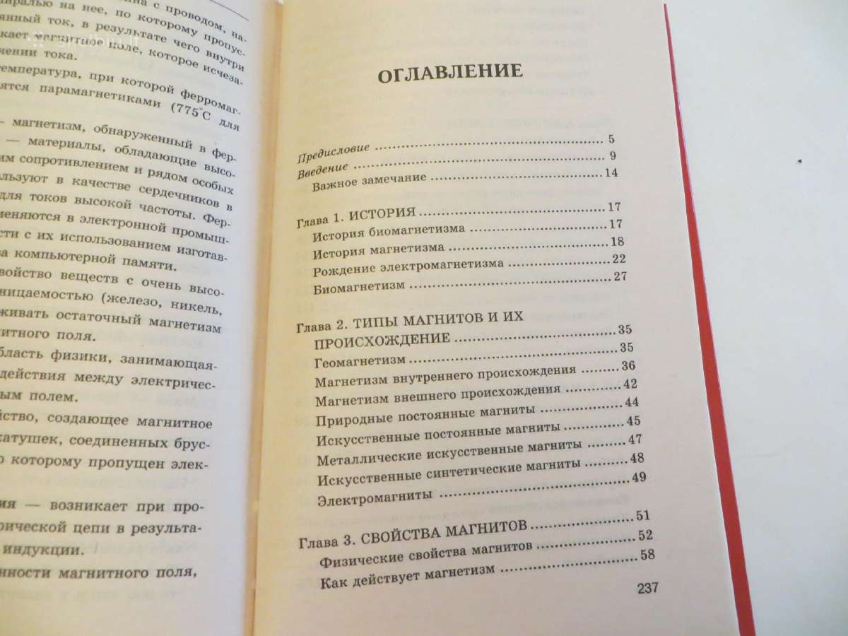 Knyga Magnetoterapija, apie gydymą magnetu 2002 - nuotraukos Nr. 32